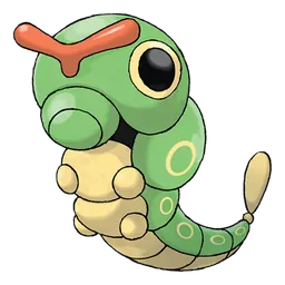 Raupy