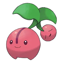 Kikugi