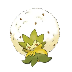 Cottomi