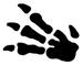 Set-Symbol Fossil