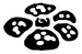 Set-Symbol Jungle